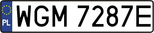 WGM7287E