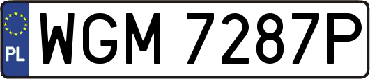 WGM7287P