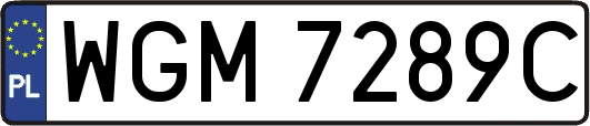 WGM7289C