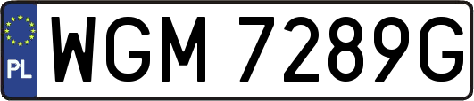 WGM7289G