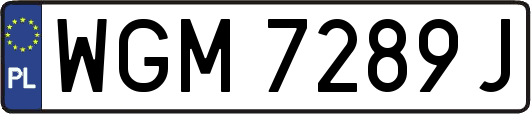 WGM7289J