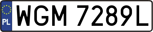 WGM7289L