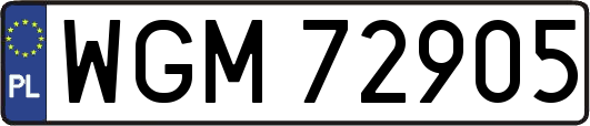 WGM72905