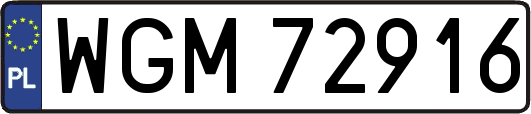 WGM72916