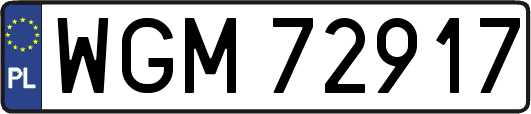 WGM72917
