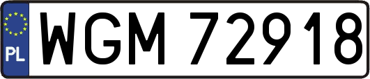 WGM72918