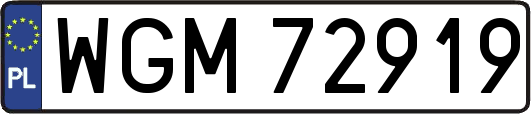 WGM72919