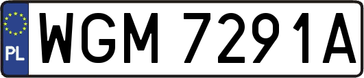 WGM7291A