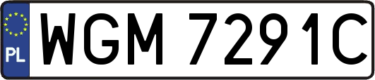 WGM7291C