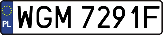 WGM7291F