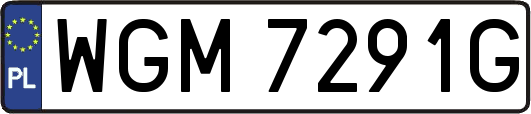 WGM7291G