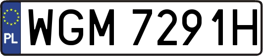 WGM7291H