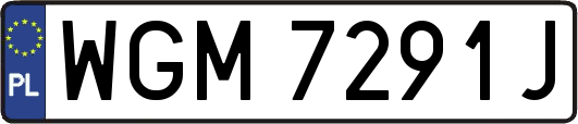 WGM7291J