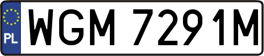 WGM7291M