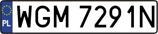 WGM7291N