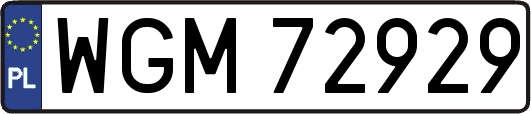 WGM72929