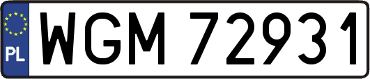WGM72931