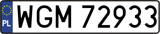 WGM72933