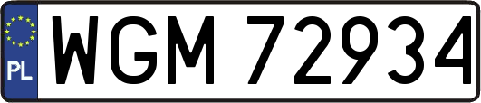 WGM72934