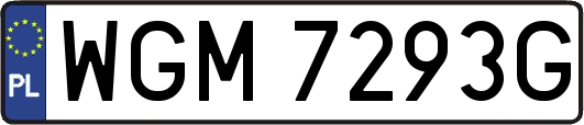 WGM7293G