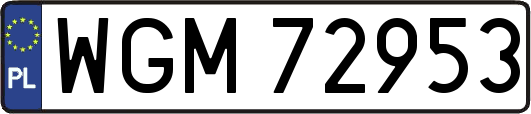 WGM72953