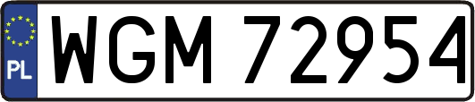 WGM72954