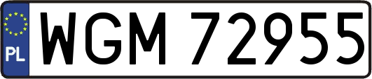 WGM72955