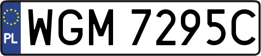 WGM7295C