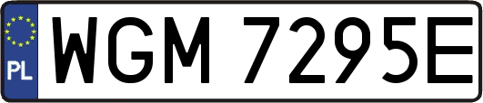 WGM7295E