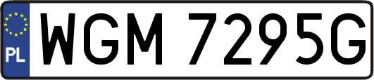 WGM7295G