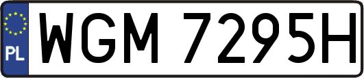 WGM7295H