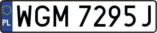 WGM7295J