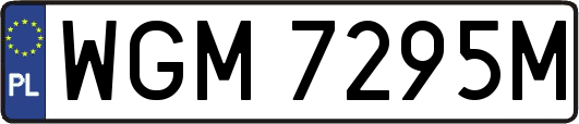 WGM7295M