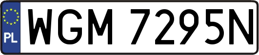 WGM7295N