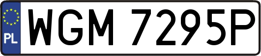 WGM7295P