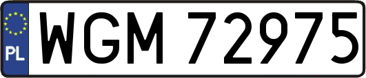 WGM72975