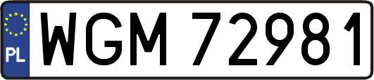 WGM72981