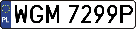 WGM7299P
