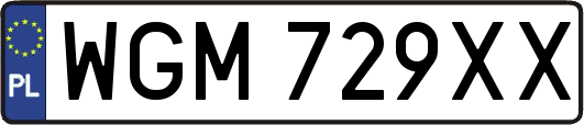 WGM729XX