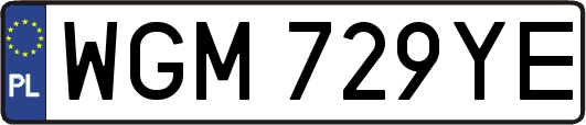 WGM729YE