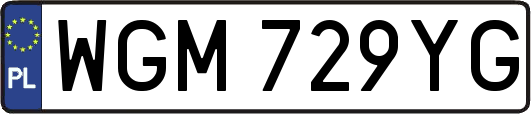 WGM729YG