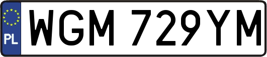WGM729YM