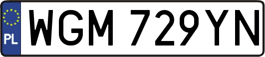 WGM729YN