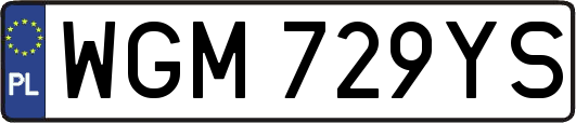 WGM729YS
