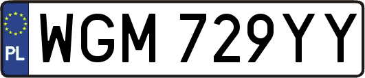 WGM729YY
