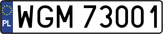 WGM73001