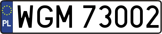WGM73002