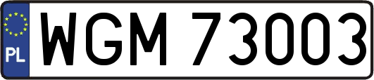 WGM73003