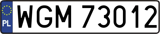 WGM73012