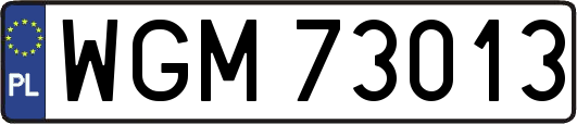 WGM73013